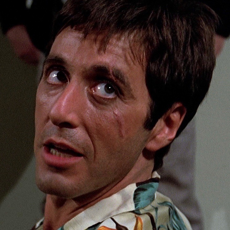 ‎lele’s profile • Letterboxd