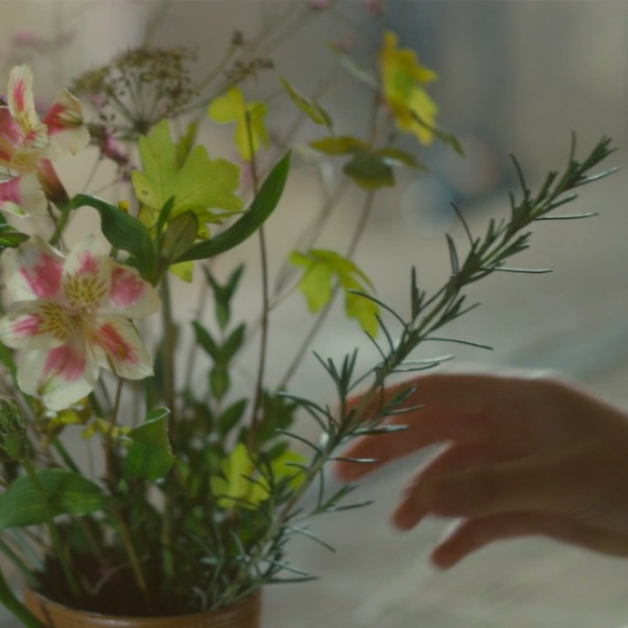 ‎navinddr's profile • Letterboxd
