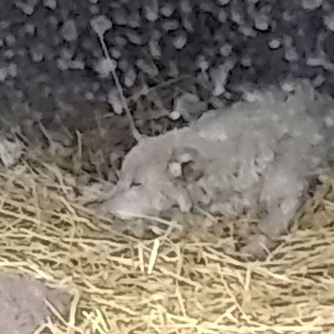 ‎TheThirdCoolGuy's profile • Letterboxd