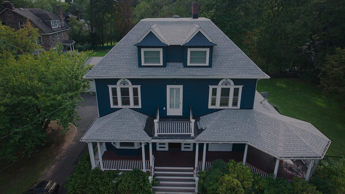 LETTERBOXD FILMS 2025 visual data 6