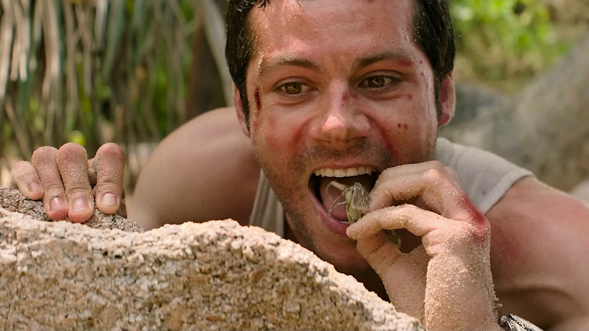 Hog From Send Help Send Help’ review by JETague • Letterboxd