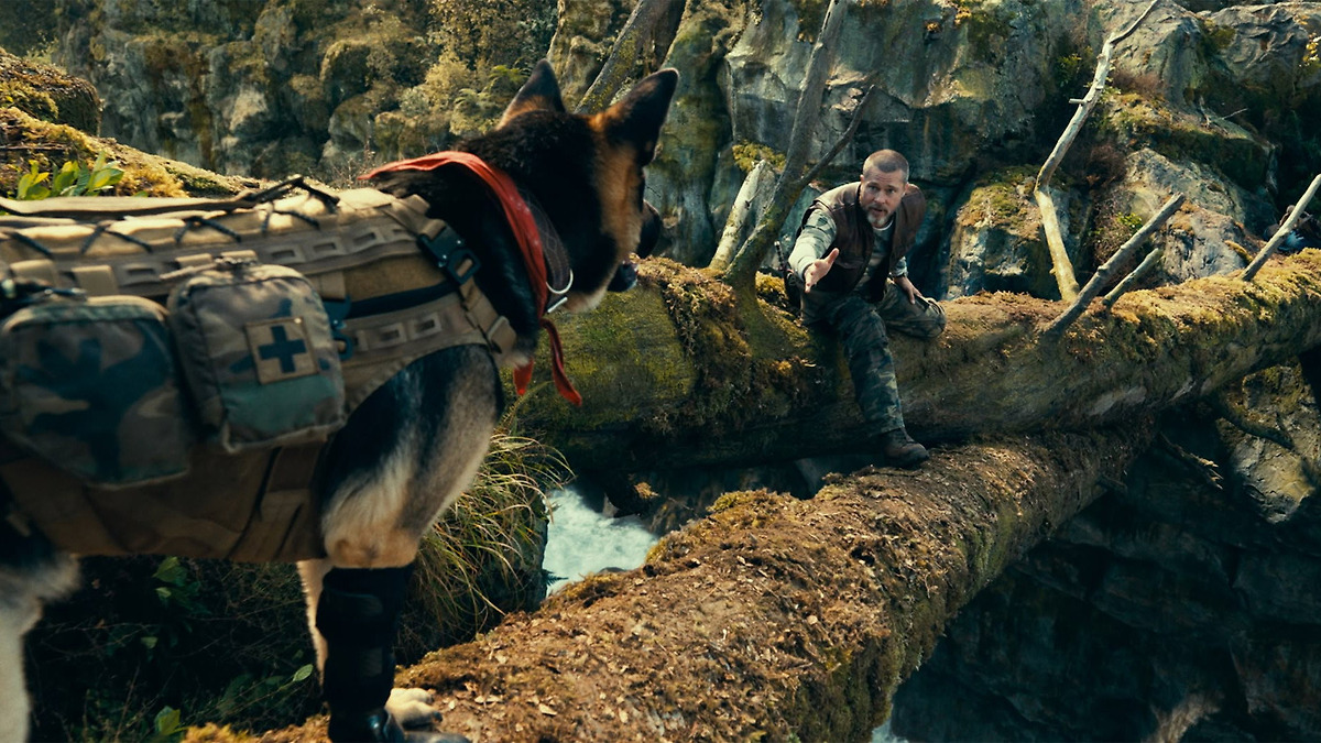 heart-of-the-beast-review-by-nucleardad17-letterboxd