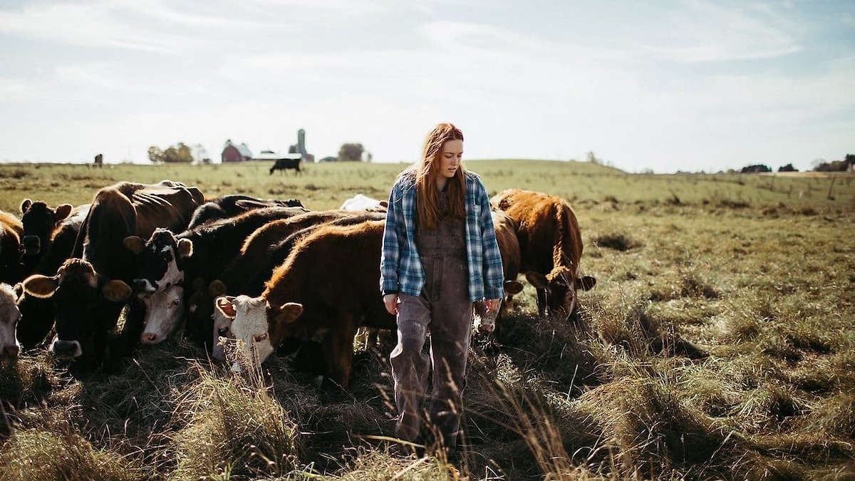 Green and Gold’ review by Tyler Whitmore • Letterboxd
