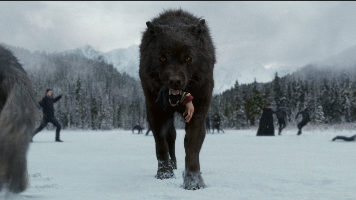 The Twilight Saga: Breaking Dawn – Part 2’ review by movies_fan ...