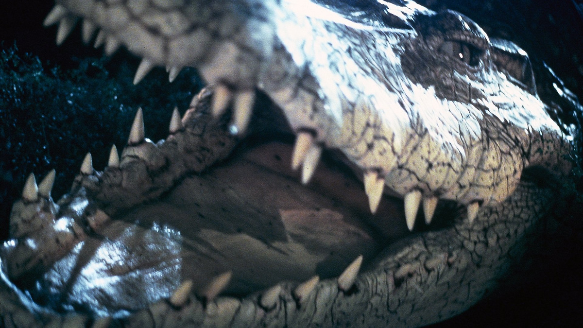 Crocodile’ review by Andrew Markowitz • Letterboxd