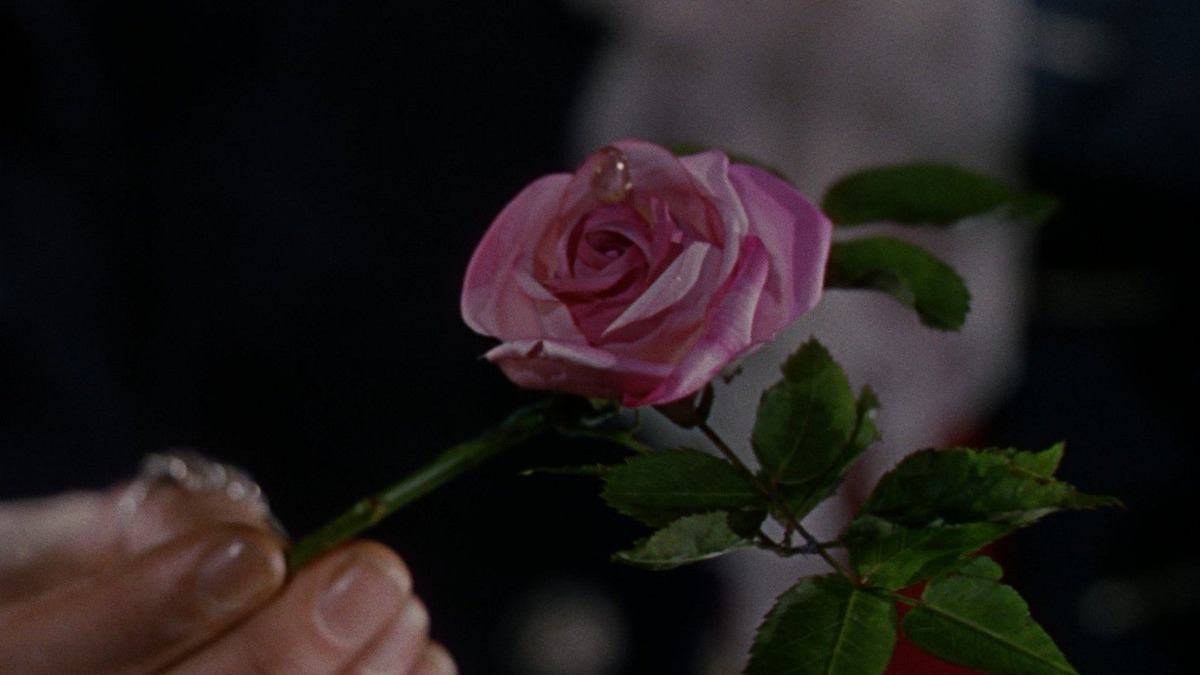A Matter of Life and Death’ review by Zox727 • Letterboxd