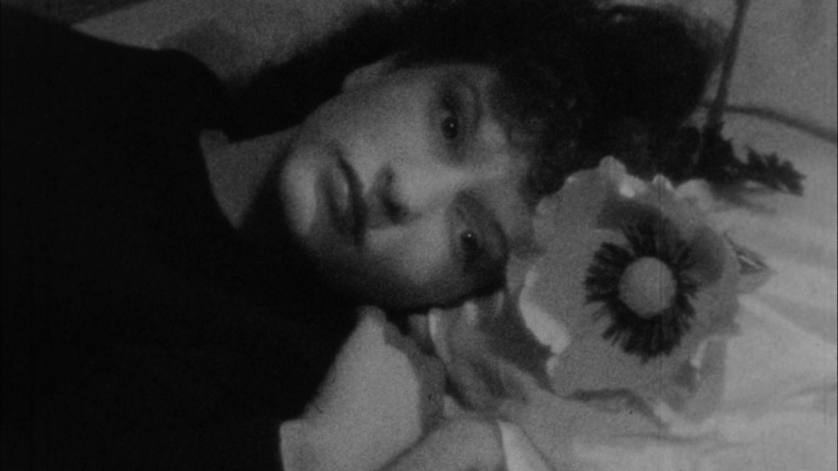 Meshes of the Afternoon’ review by lucahfxr • Letterboxd