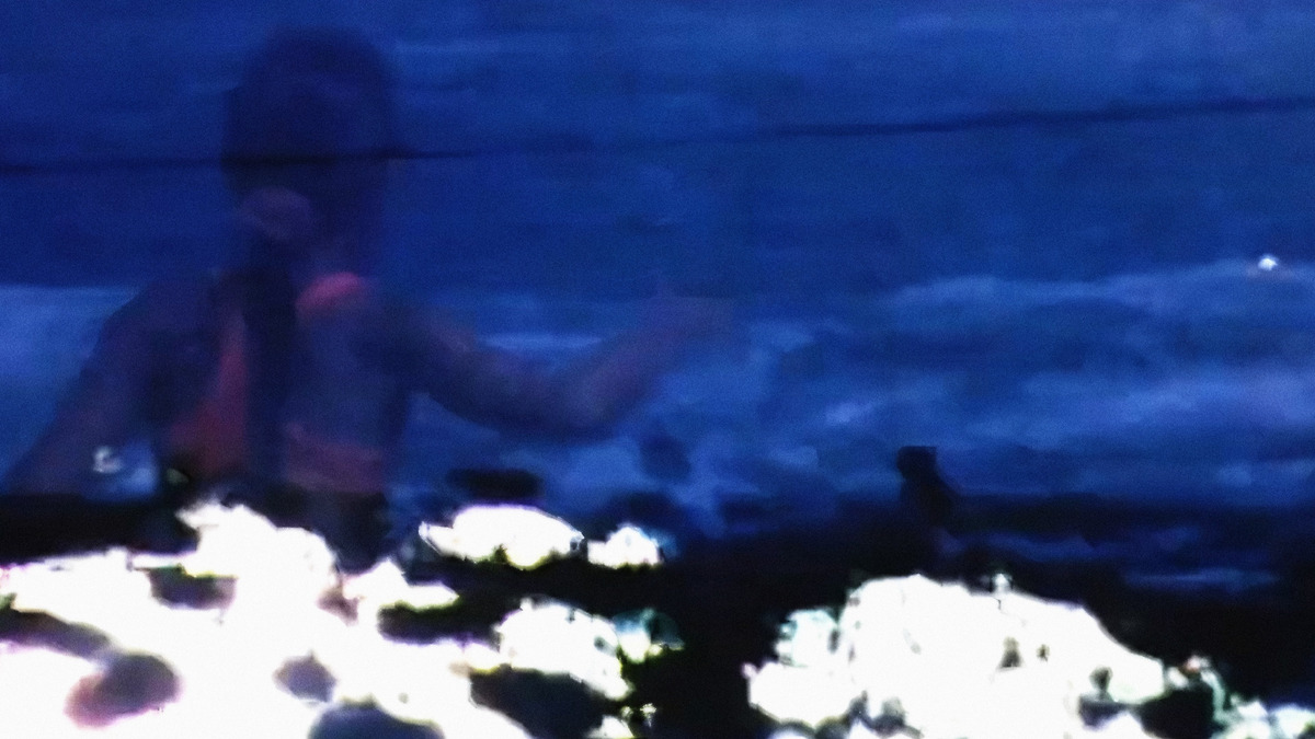 Marybeth Reed Floating under a Honey Tree (1998) directed by Mary Beth Reed ...