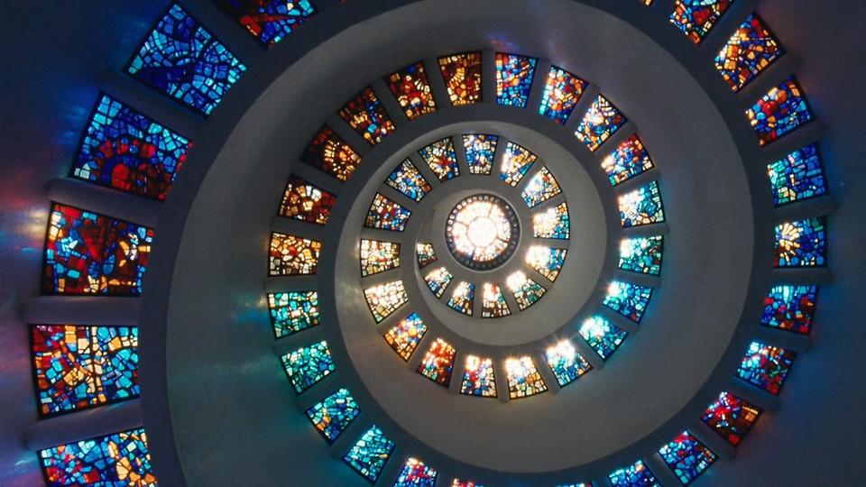 ‎Brady Strack’s activity for The Tree of Life (2011) • Letterboxd