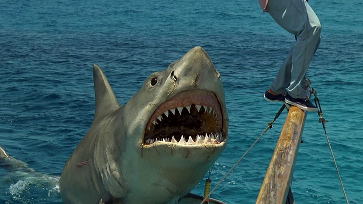 Jaws: The Revenge’ review by TheSnuffles • Letterboxd