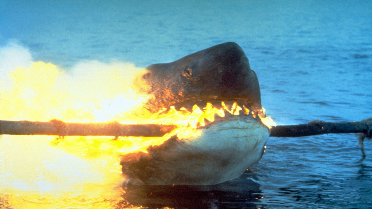 Jaws 2’ watched by Superpotato1779 • Letterboxd