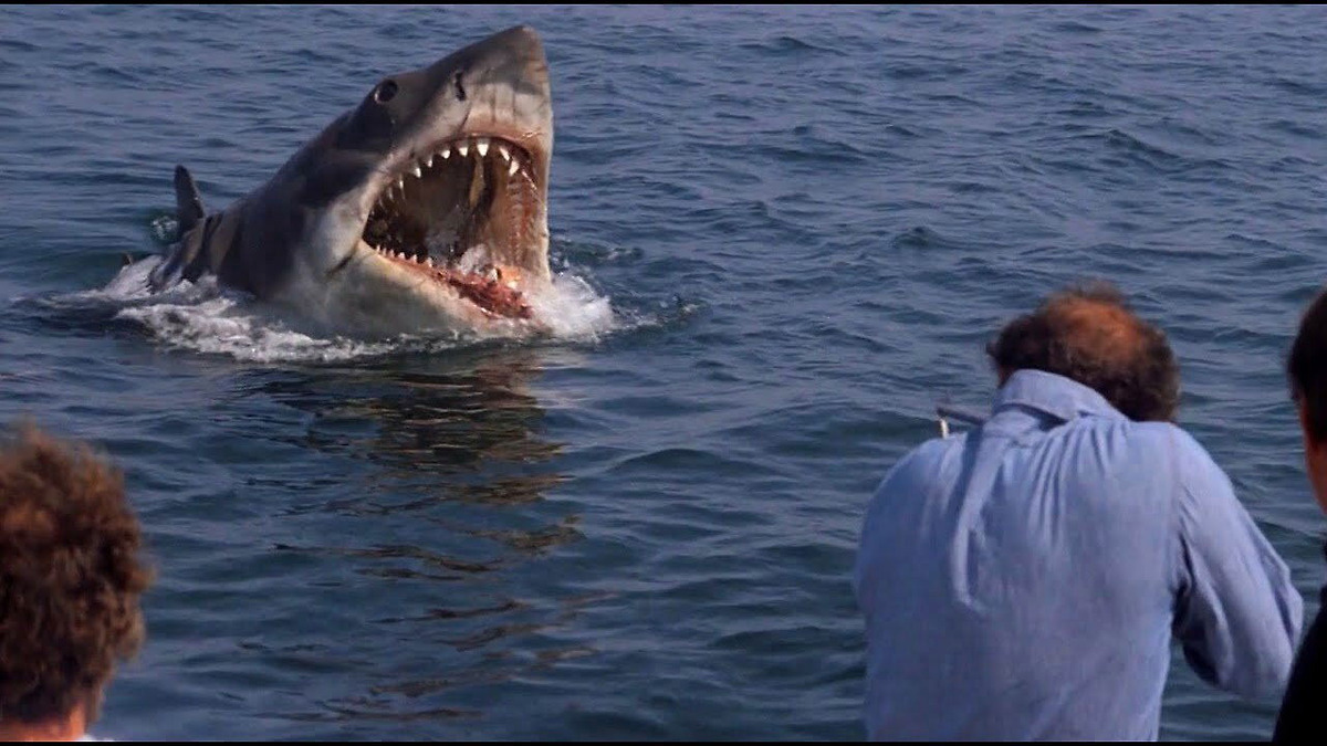 Jaws’ review by Aarsh🐥 • Letterboxd