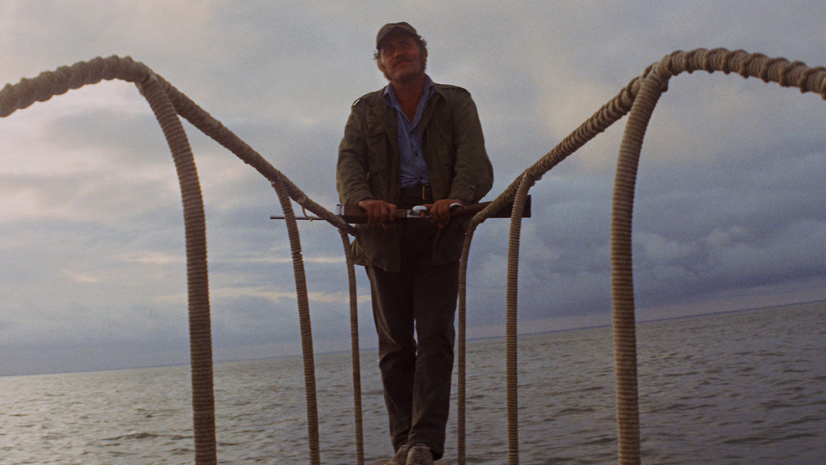 Jaws’ review by AkabaneRowsdowe • Letterboxd