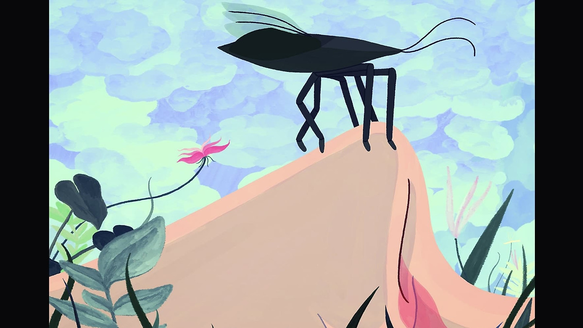‎Animated Desires, a list of films by MUBI • Letterboxd