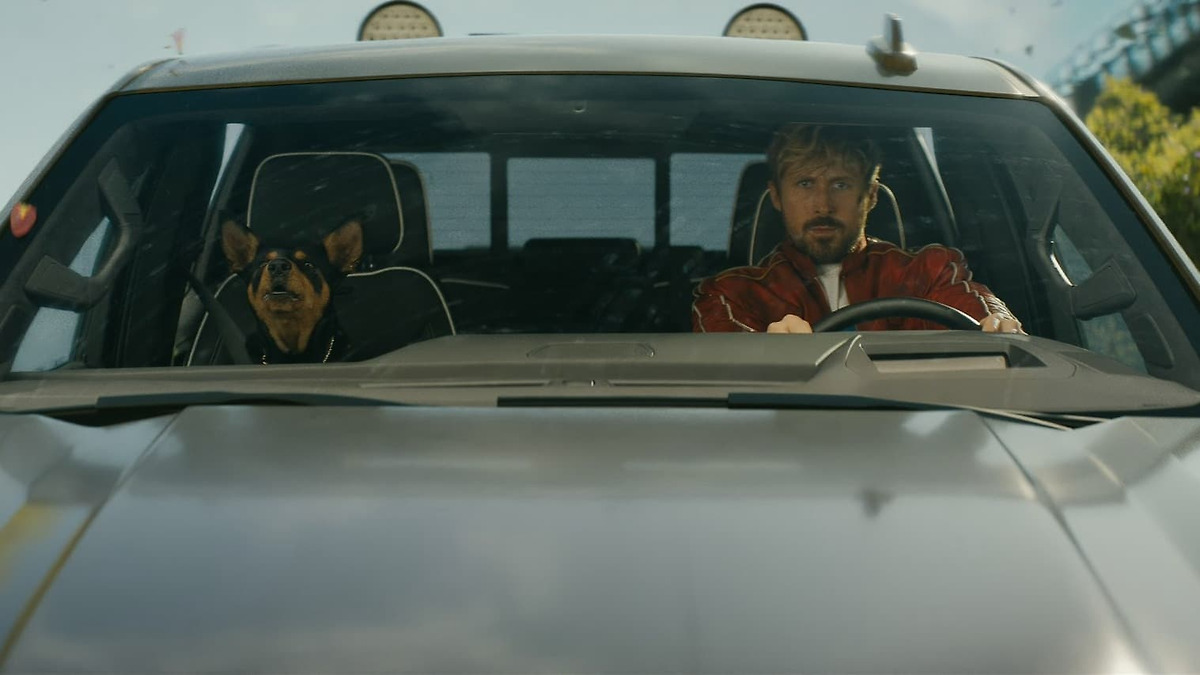 The Fall Guy’ review by ProfessorBoolin • Letterboxd