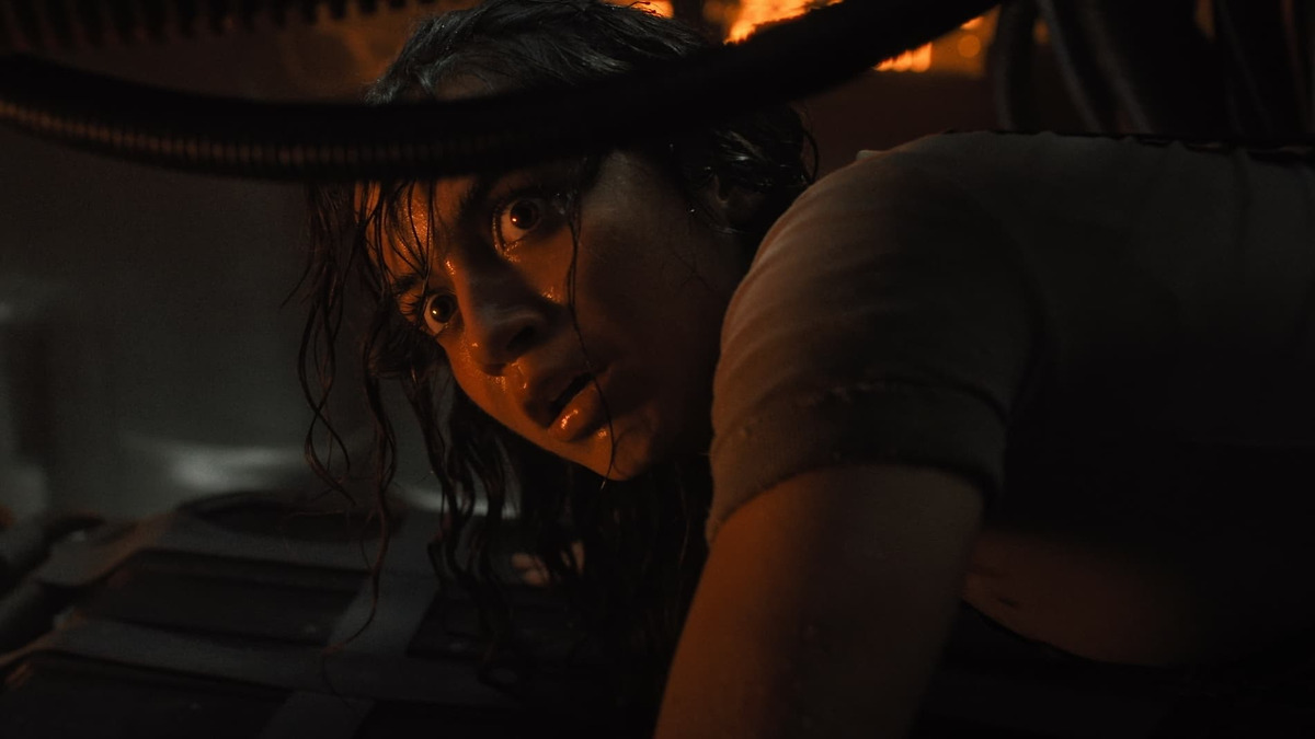 Alien Franchise, a list of films by Willie Vega • Letterboxd
