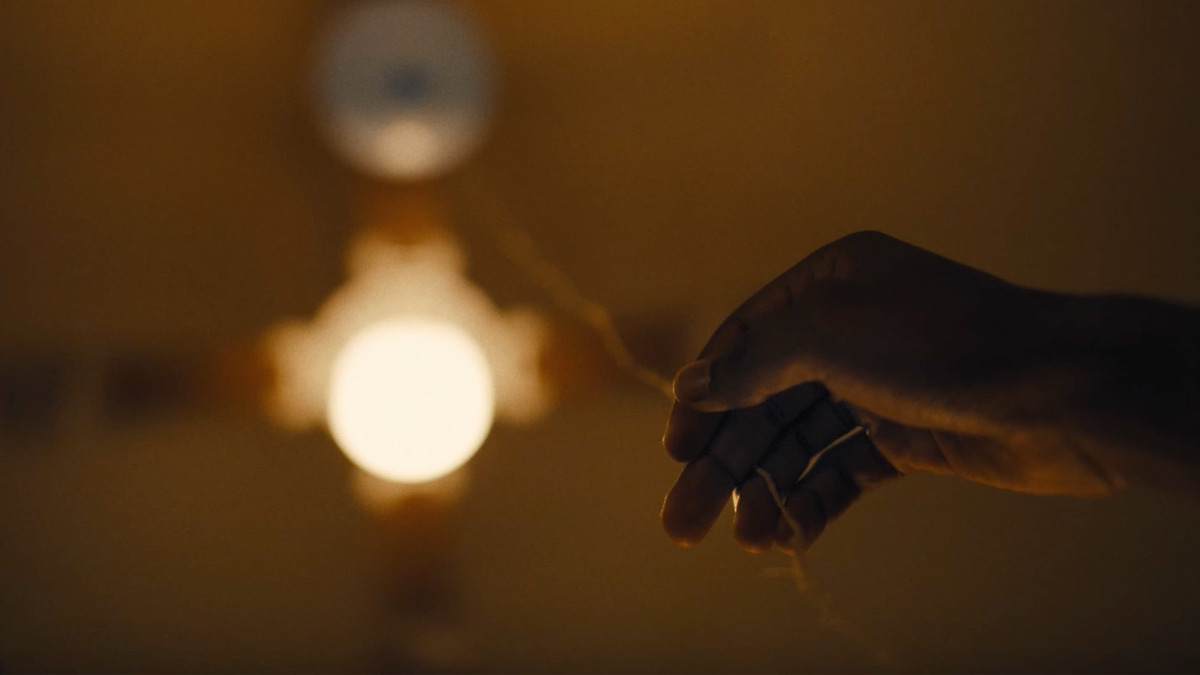 LETTERBOXD FILMS 2024 visual data 7