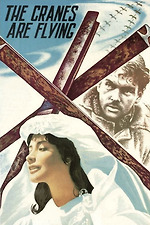 Joe Butterfly (1957) directed by Jesse Hibbs • Reviews, film +