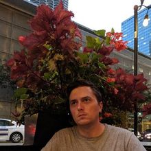 ‎Erik Bergstrom's profile • Letterboxd