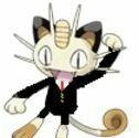 SenatorMeow