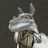 Letterboxd profile picture for @llama