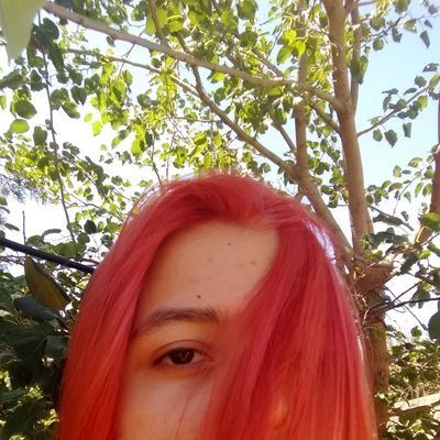 Letterboxd profile picture for @Gusti