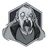 Galactrod