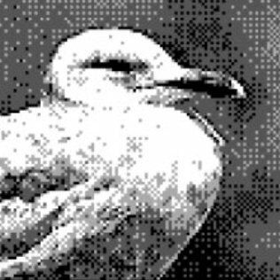 Letterboxd profile picture for @pheasant
