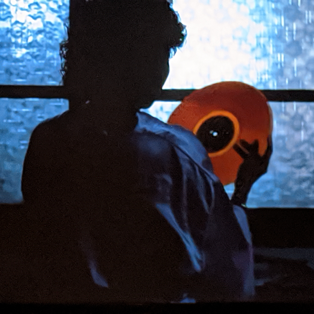 Letterboxd profile picture for @pinecone