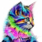 TheRainbowGuy