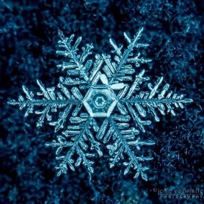 Letterboxd profile picture for @Froze