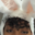 nya m *:ꔫ:*+゚