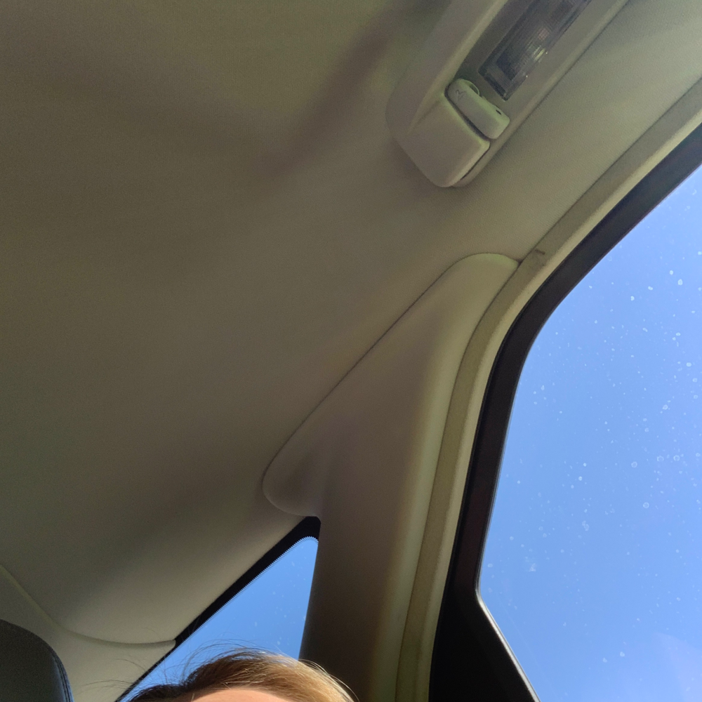 Letterboxd profile picture for @Morrone