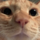 kyleevans023