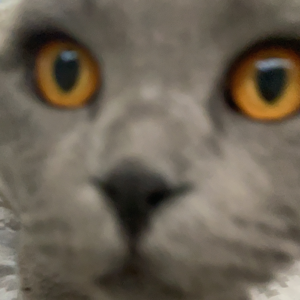 Letterboxd profile picture for @oliwier