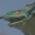 Garasharp