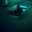 Luis_989