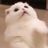 hamnut