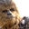 Wookie