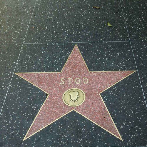 Letterboxd profile picture for @stod