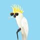 birdrespecter