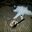 Downhome23