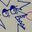 anj