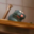 RatJacko