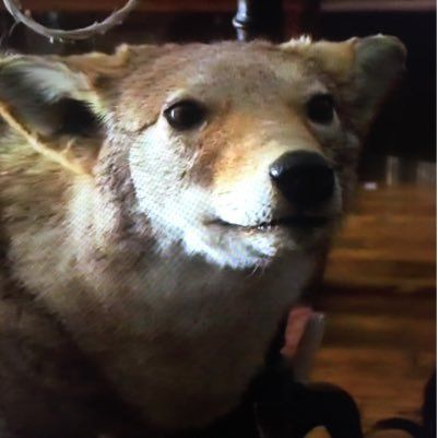 Letterboxd profile picture for @becker