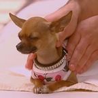 monique 🕵🏼‍♀️