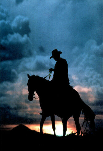 Letterboxd profile picture for @MISSISSIPPI