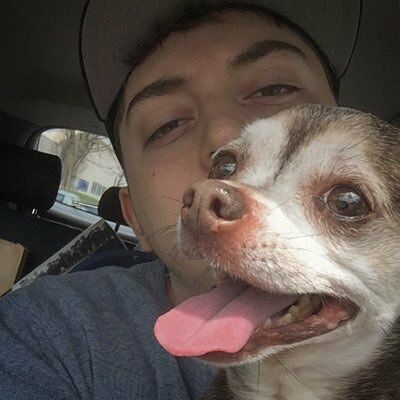 Letterboxd profile picture for @jingles