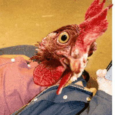 Letterboxd profile picture for @Fried