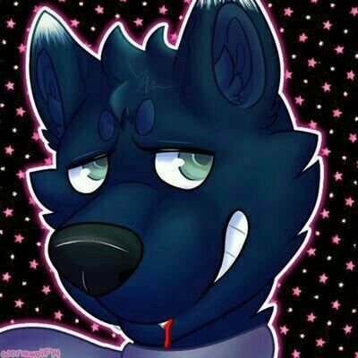 Letterboxd profile picture for @wolfkame